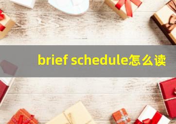 brief schedule怎么读